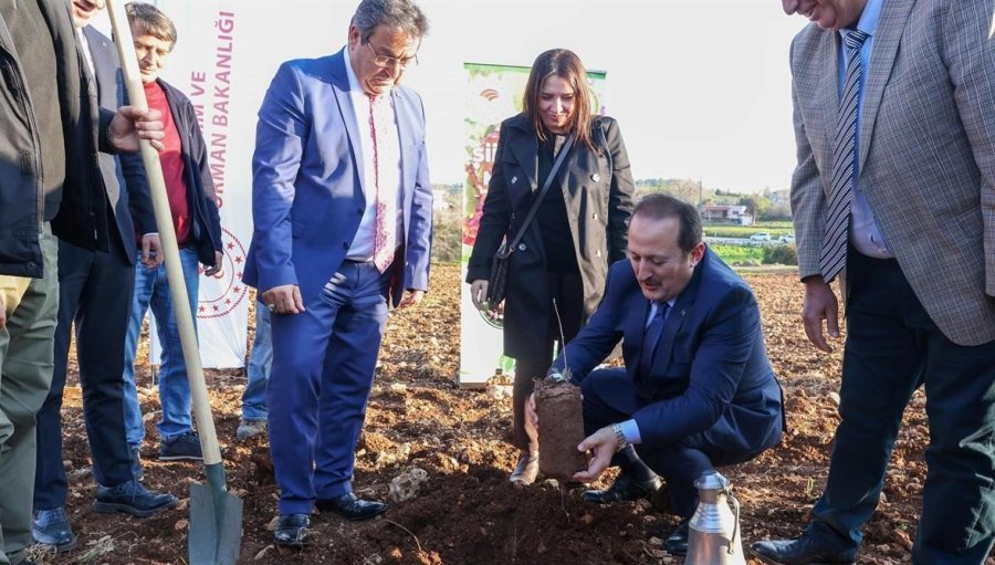 Mersin’de ’siirt Fıstığı Mersin’de Projesi Kapsamında Fidan Dağıtıldı