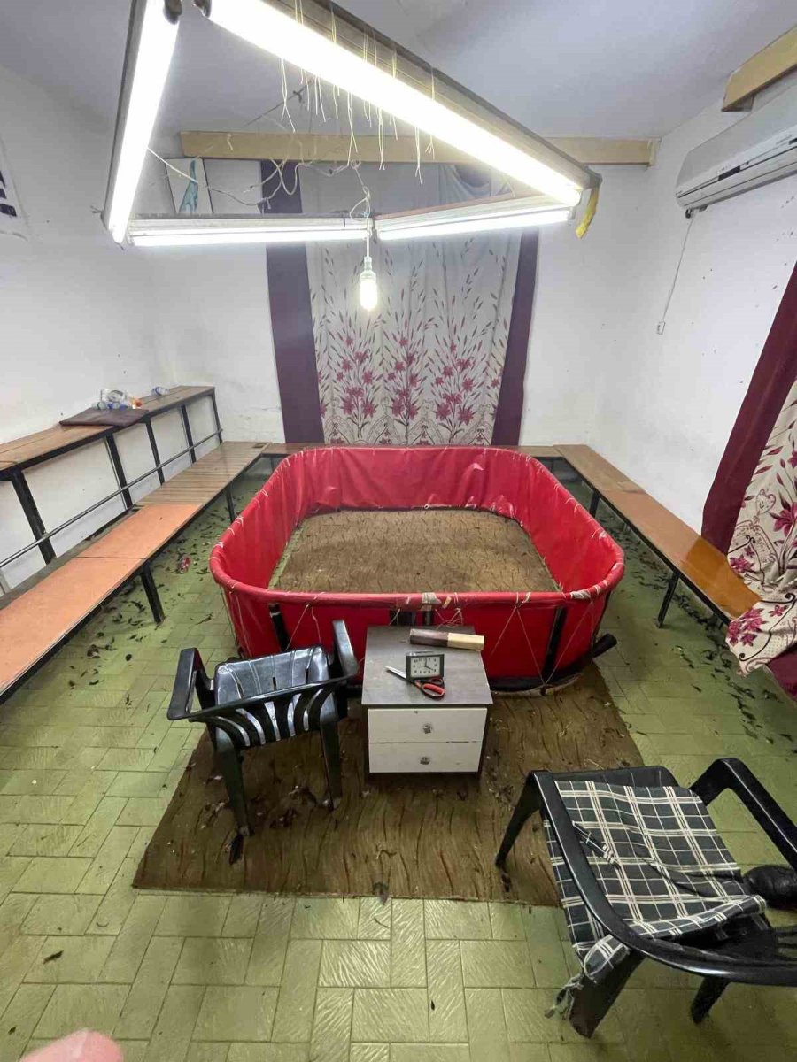 Demir Kafesli Ringlerde Horoz Dövüşüne Ceza Yağdı