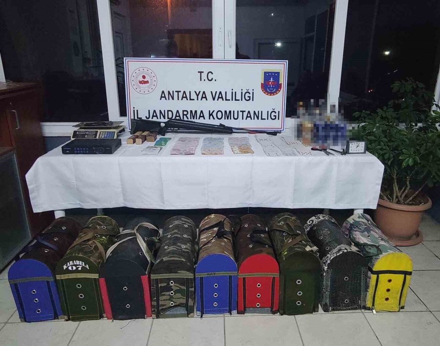 Demir Kafesli Ringlerde Horoz Dövüşüne Ceza Yağdı