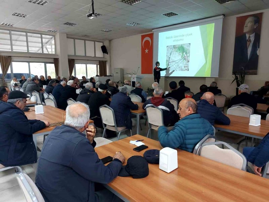Eskişehir Çiftçisine Meyve Ağaçlarında Budama Ve Aşılama Eğitimi Verildi