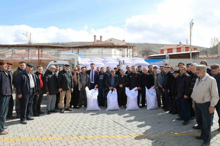 Seyitgazi Bu Sene Yerli Azkan Nohut Tohumu Ekecek