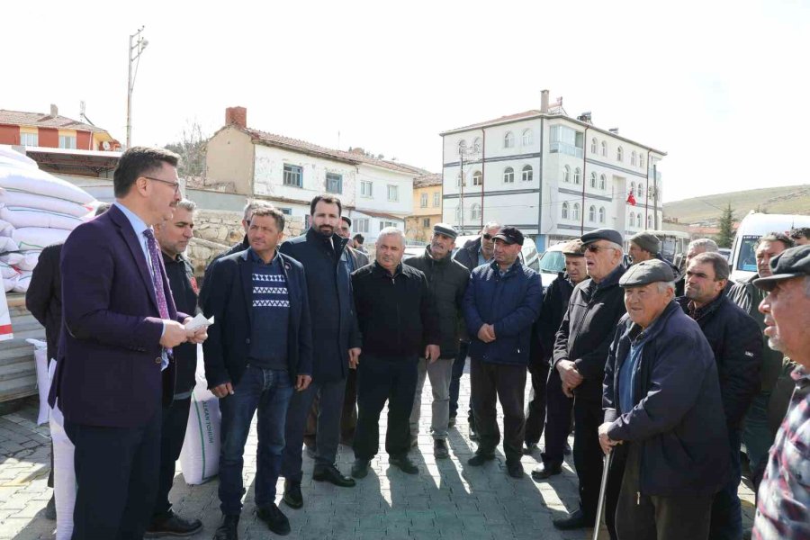 Seyitgazi Bu Sene Yerli Azkan Nohut Tohumu Ekecek