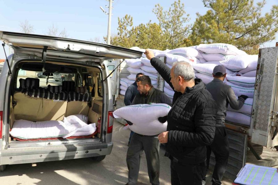 Seyitgazi Bu Sene Yerli Azkan Nohut Tohumu Ekecek