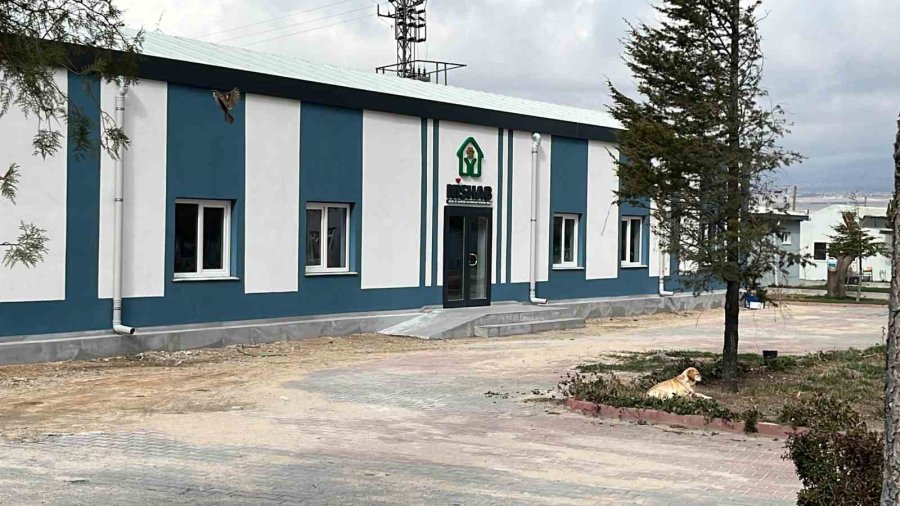 Niğde’de Dövüştürüldüğü İçin Koruma Altına Alınan Köpekler Çalındı