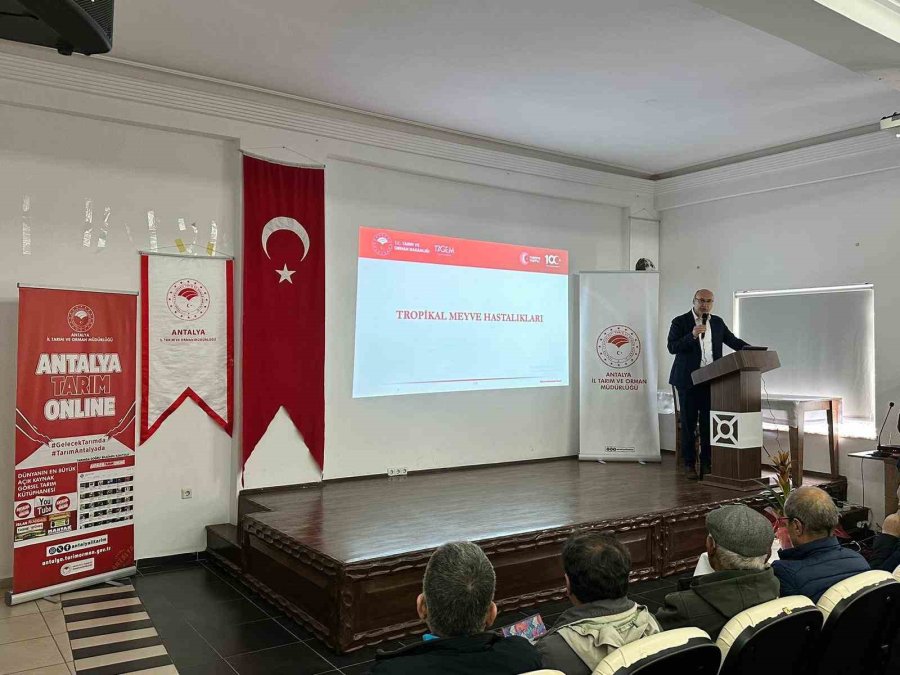 Gazipaşa’da Tropik Meyvelerde Hastalık Ve Zararlılar Anlatıldı