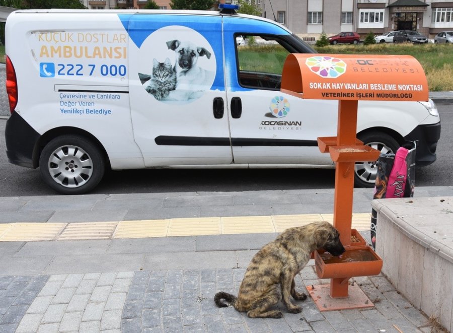 Kocasinan’dan Küçük Dostlara Yaşam Merkezi; ‘sen’patı Park’