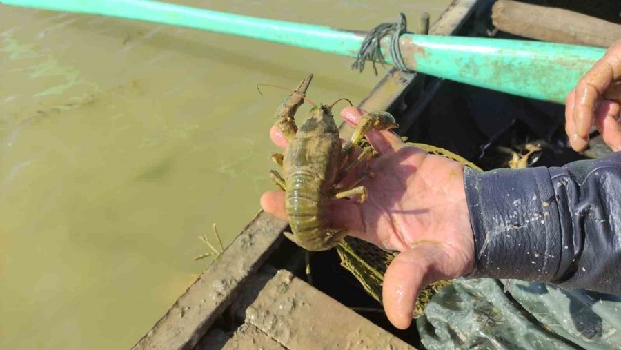 Av Yasağına Rağmen Göllere Serilen Balıkçı Ağları Ve Pinterler Toplanıyor