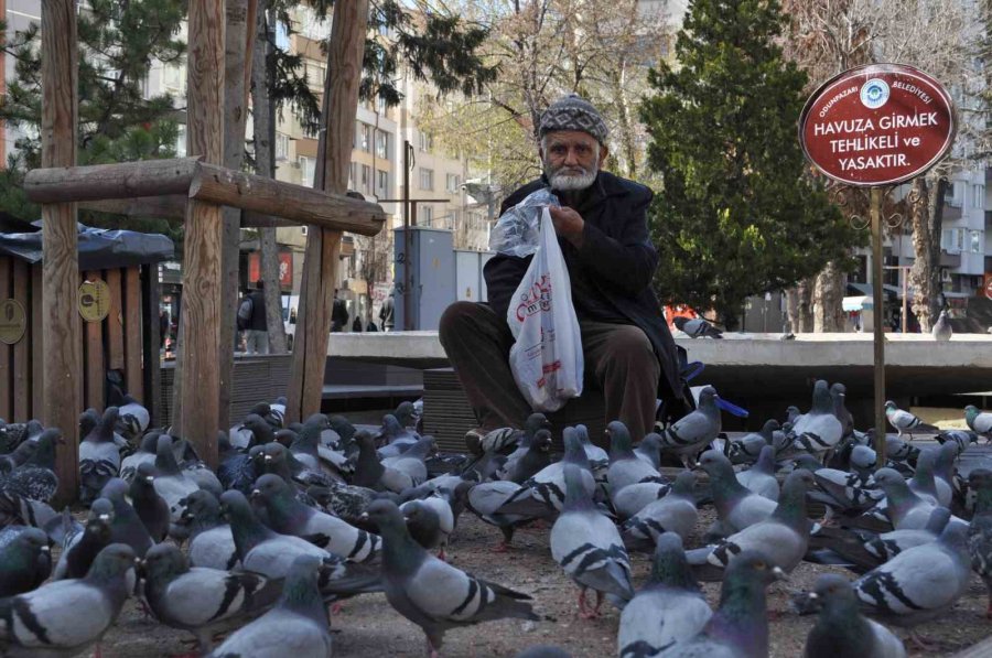 Sokaktaki Kuşları Yıllardır Büyük Bir Özenle Besliyor