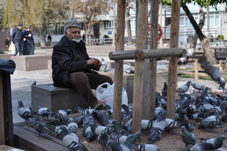 Sokaktaki Kuşları Yıllardır Büyük Bir Özenle Besliyor