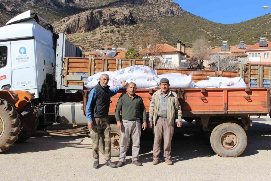 Elmalılı Çiftçilere 366 Çuval Süt Yemi Desteği