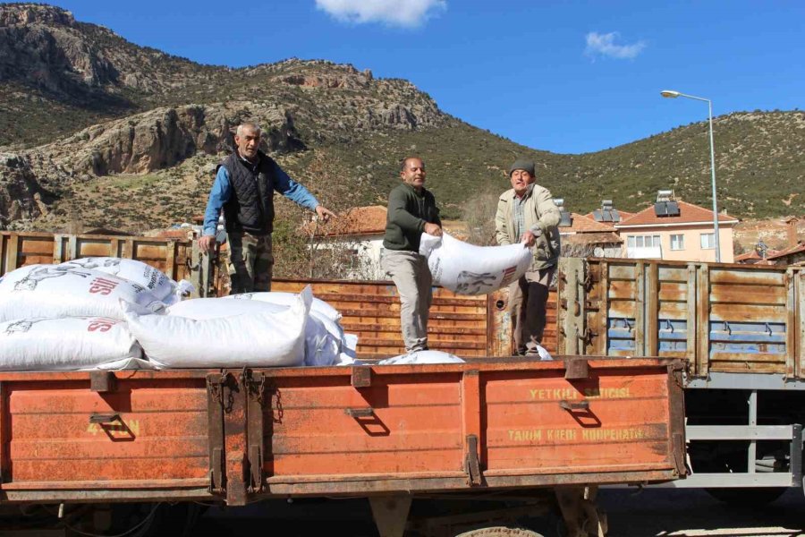 Elmalılı Çiftçilere 366 Çuval Süt Yemi Desteği