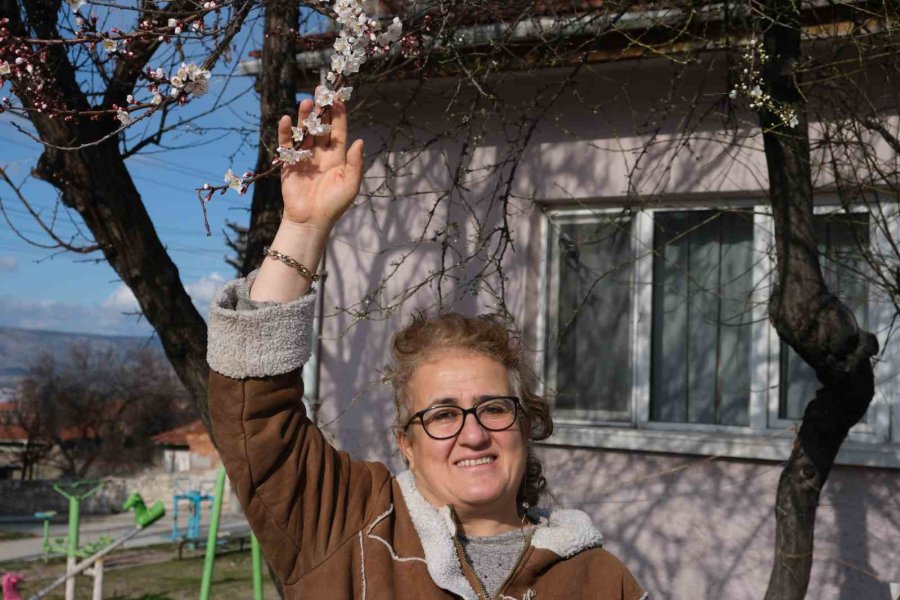 Erken Çiçek Açan Ağaçların Görüntüsü Mest Etti