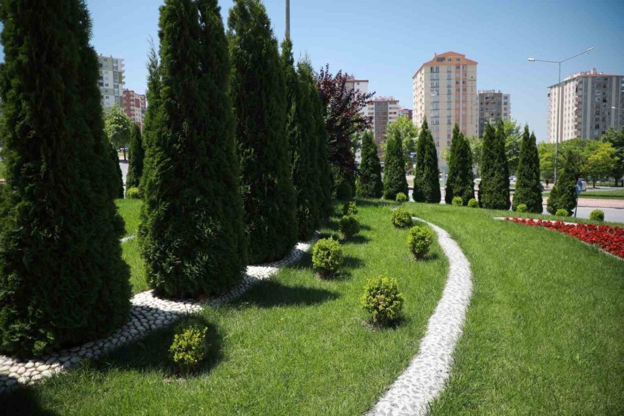 Talas’a 5 Yılda 500 Bin Ağaç