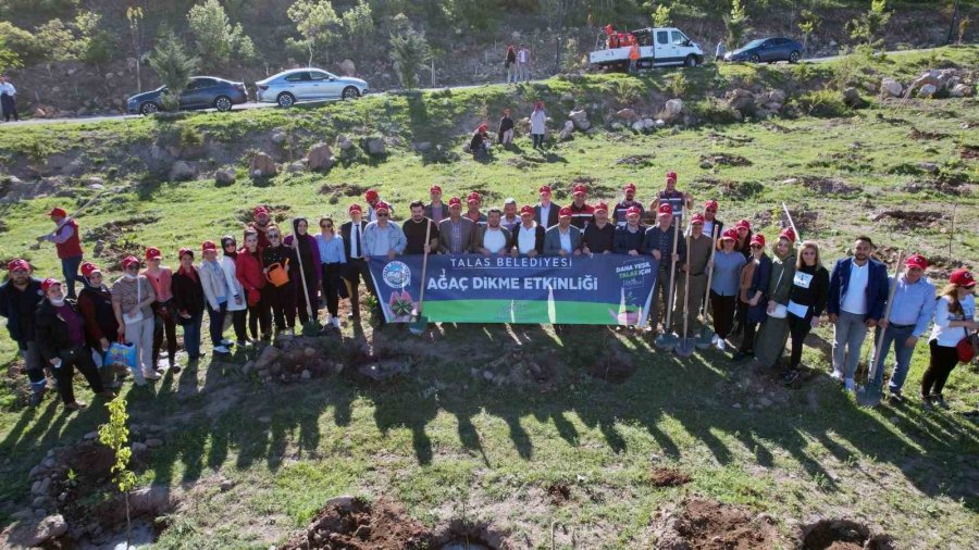 Talas’a 5 Yılda 500 Bin Ağaç