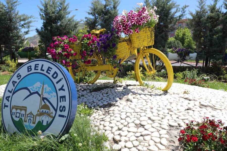 Talas’a 5 Yılda 500 Bin Ağaç