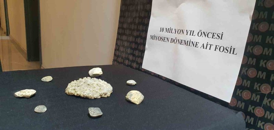 Kayseri’de Polis 10 Milyon Yıllık Fosil Ele Geçirdi