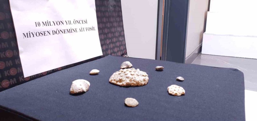Kayseri’de Polis 10 Milyon Yıllık Fosil Ele Geçirdi