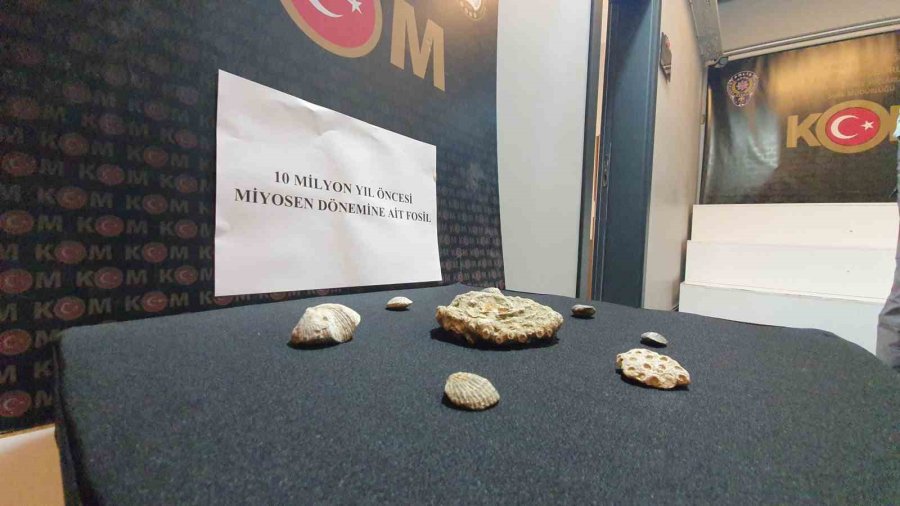Kayseri’de Polis 10 Milyon Yıllık Fosil Ele Geçirdi