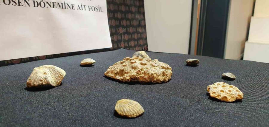 Kayseri’de Polis 10 Milyon Yıllık Fosil Ele Geçirdi