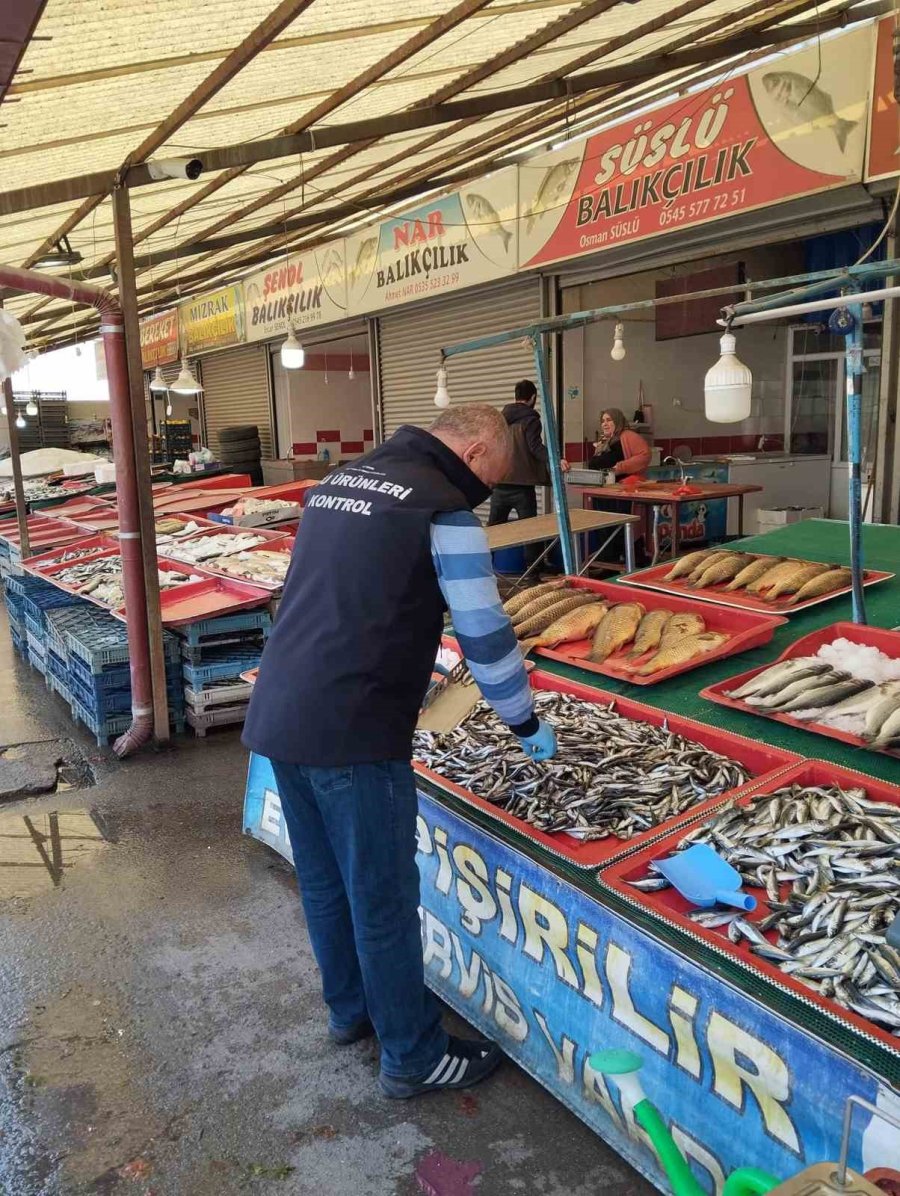 Beyşehir’de Perakende Balık Satış Yerleri Denetlendi