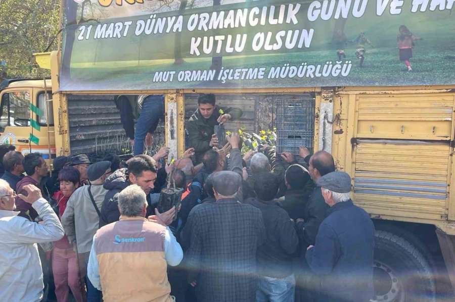 Mersin’de 6 Bin Fidan Ücretsiz Dağıtıldı