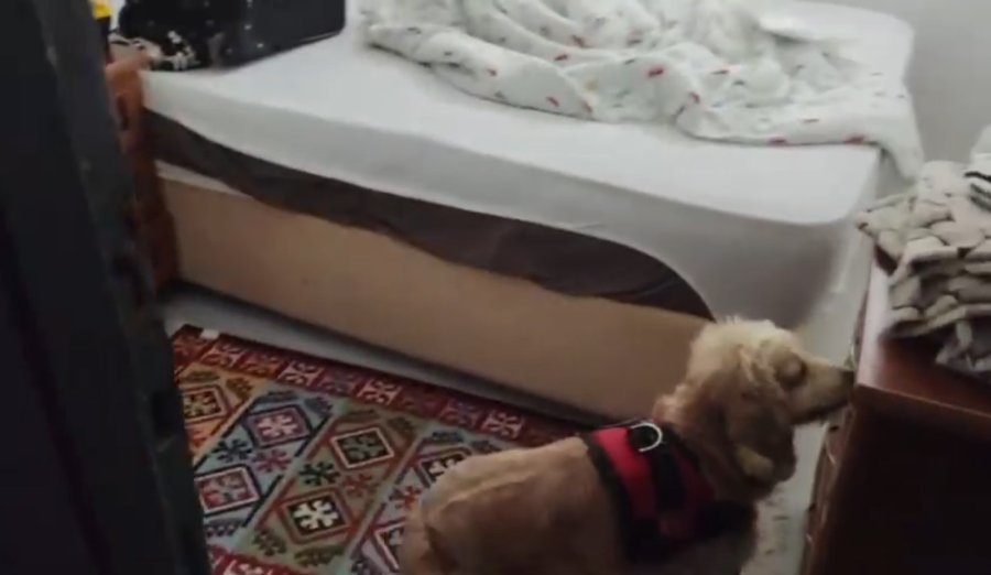 Antalya’da Dev Uyuşturucu Operasyonu: 1,5 Milyon Kullanımlık A4 Ele Geçirildi