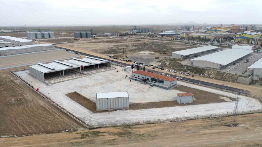 Karaman’da Yeni Hayvan Pazarı Hizmete Açıldı