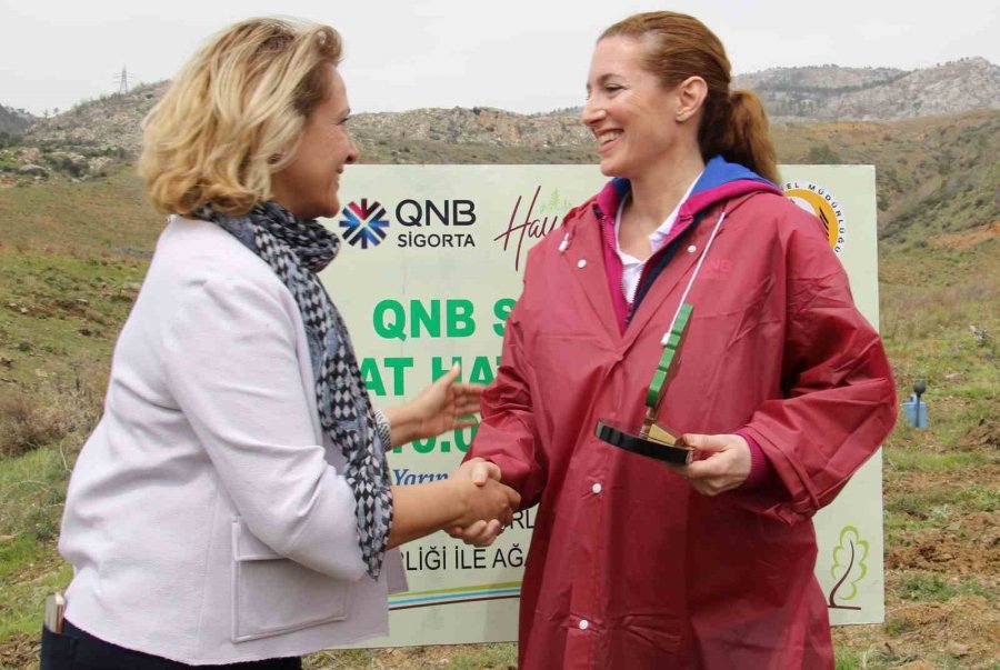 Yanan Alana Qnb Sigorta 10 Bin Fidanla Orman Kurdu