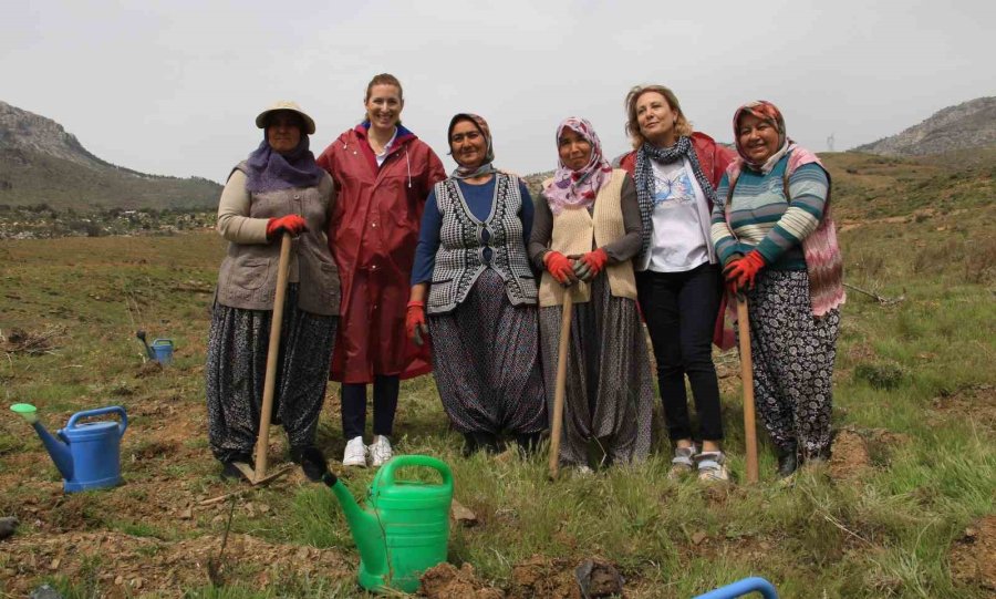 Yanan Alana Qnb Sigorta 10 Bin Fidanla Orman Kurdu