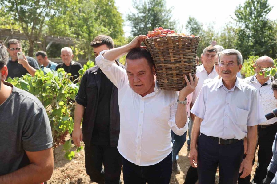 Başkan Böcek’ten Tarımda İstihdamı Arttıracak Projeler