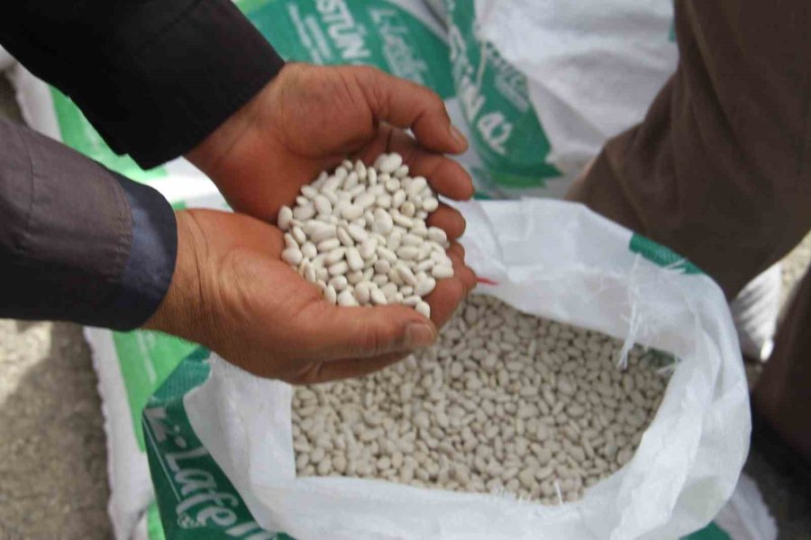 Konya’da “kuru Fasulye İle Beyaz Bahar” Projesi Hayata Geçiriliyor