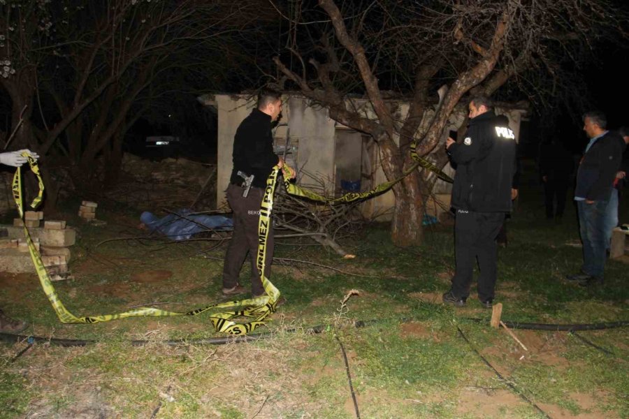 Ağaç Budamaya Gittiği Bahçede Cansız Bedeni Bulundu