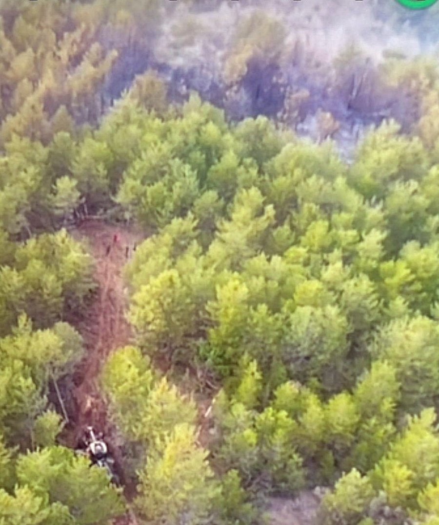 Eskişehir’de Çıkan Orman Yangınında 1 Hektarlık Alan Zarar Gördü
