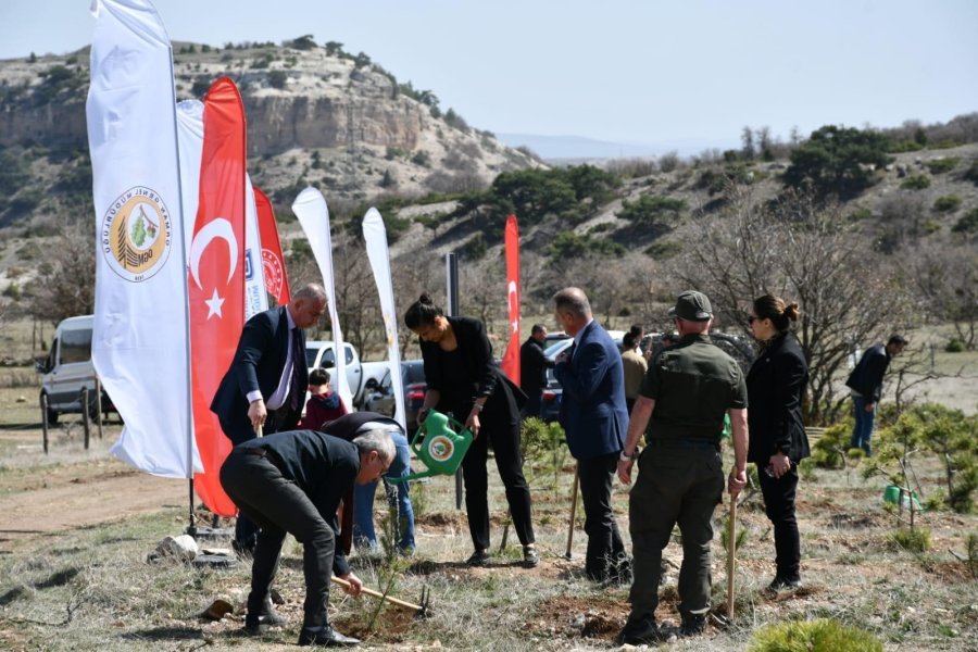 Adalet Ormanı Büyümeye Devam Ediyor