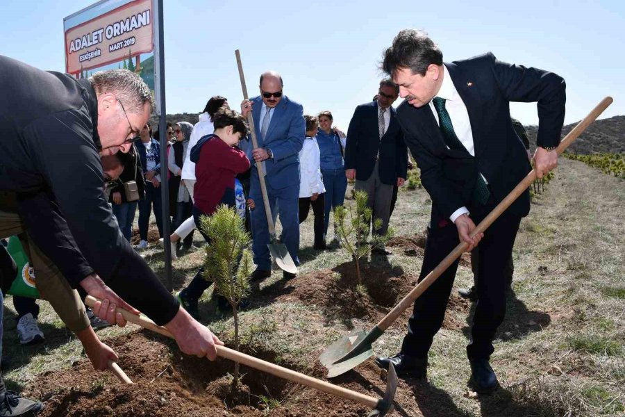 Adalet Ormanı Büyümeye Devam Ediyor