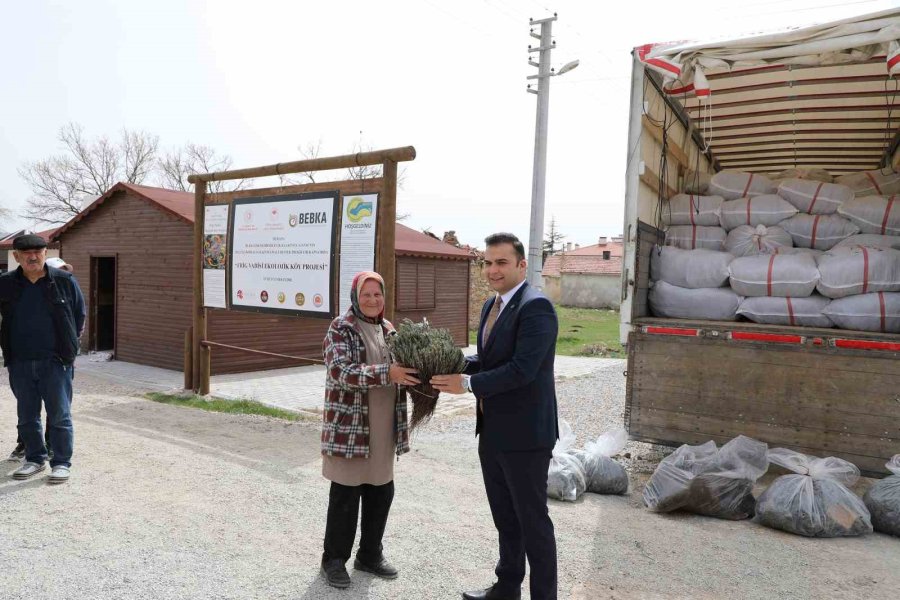 Eskişehir’de Atıl Tarım Arazileri 590 Bin Lavanta İle Renkleniyor