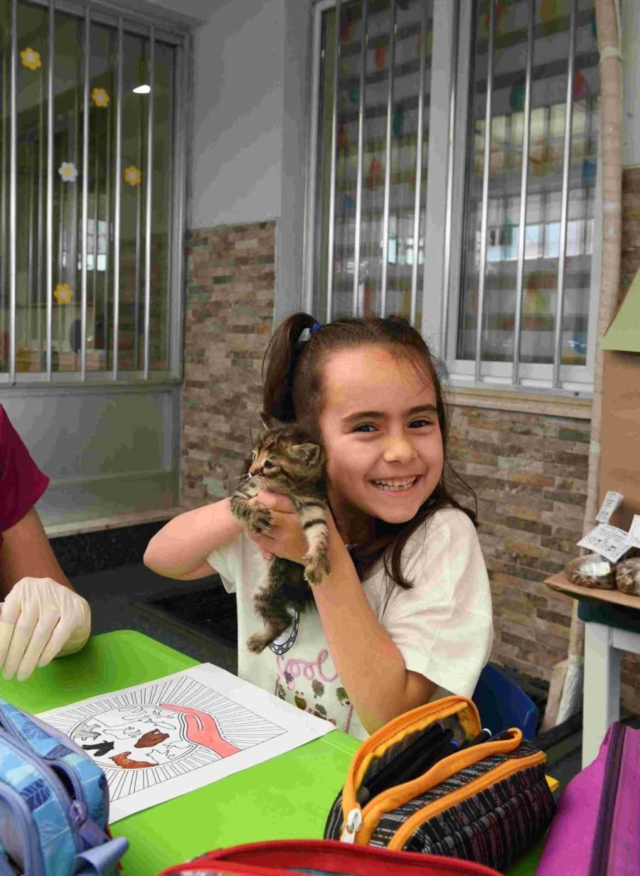 Konyaaltı’nda Minikler Sokak Hayvanlarını Unutmadı