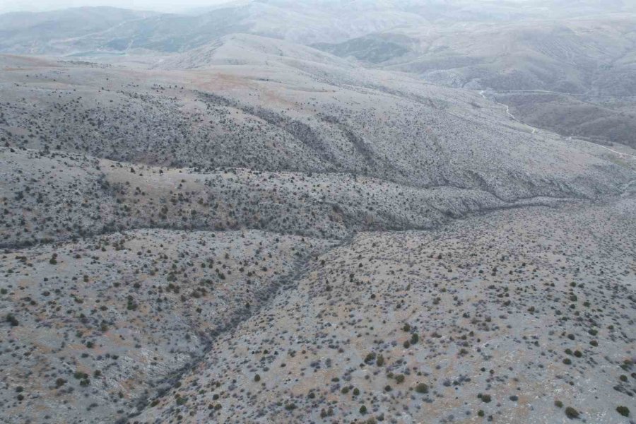 Kayıp Koyunları Dron İle Buldular