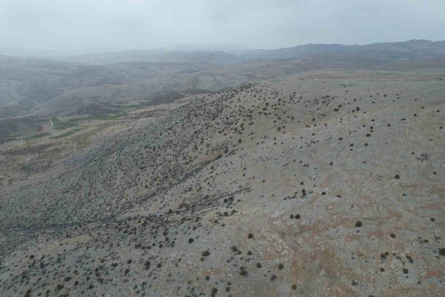 Kayıp Koyunları Dron İle Buldular