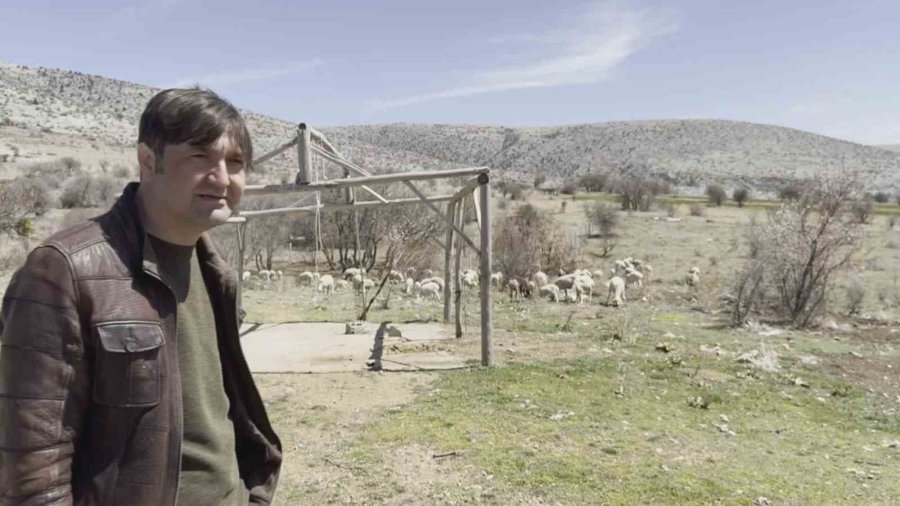 Kayıp Koyunları Dron İle Buldular