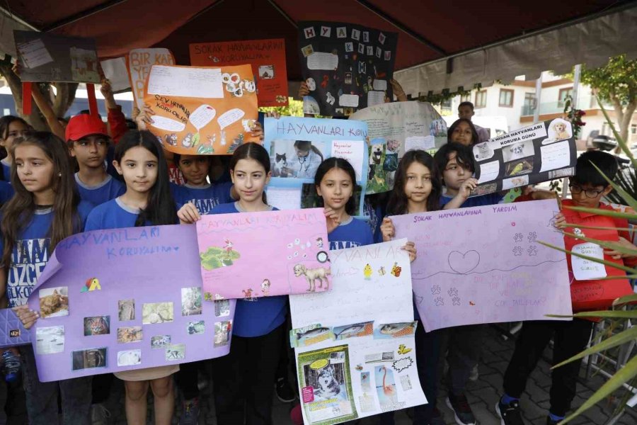 Alanya Belediyesi’nden Sokak Hayvanları İçin Anlamlı Etkinlik