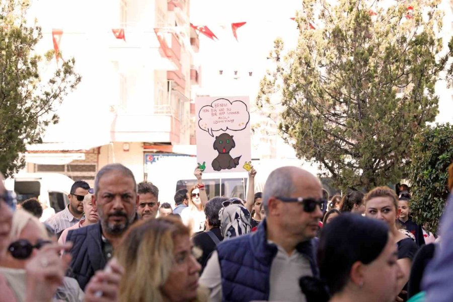 Alanya Belediyesi’nden Sokak Hayvanları İçin Anlamlı Etkinlik