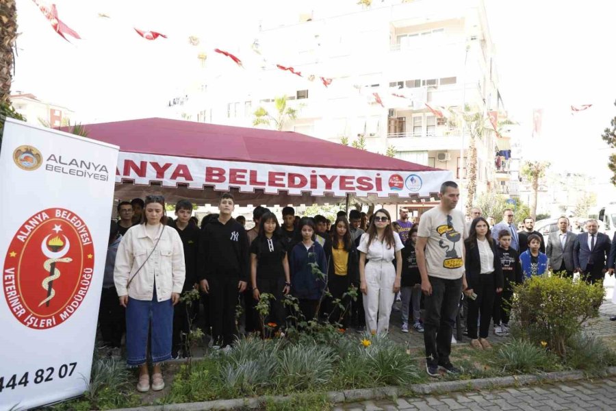 Alanya Belediyesi’nden Sokak Hayvanları İçin Anlamlı Etkinlik