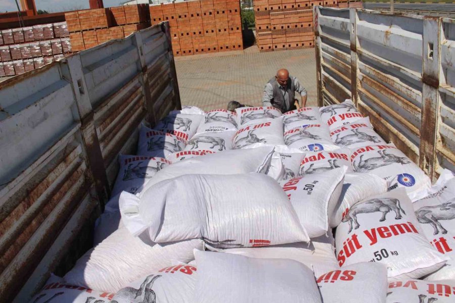 Büyükşehir Belediyesi’nin Süt Yemi Desteği Sürüyor