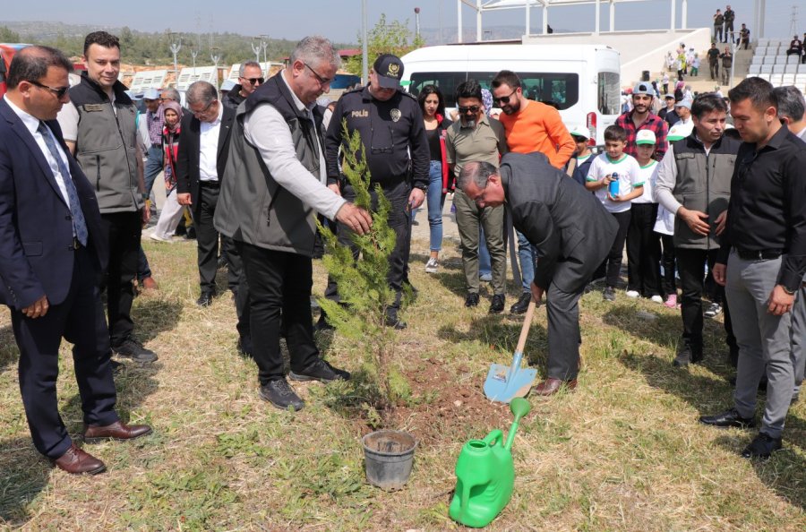 Kömür Ocağı Bal Ormanı, ’örnek Bal Ormanı’ Haline Geldi