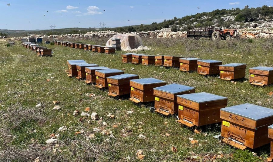 Mersin’de Arıcılara 4 Milyon 200 Bin Tl Destek Sağlandı