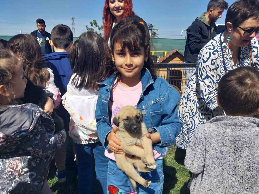 Miniklerden Sahipsiz Sokak Hayvanları Bakım Ve Rehabilitasyon Merkezi’ne Ziyaret