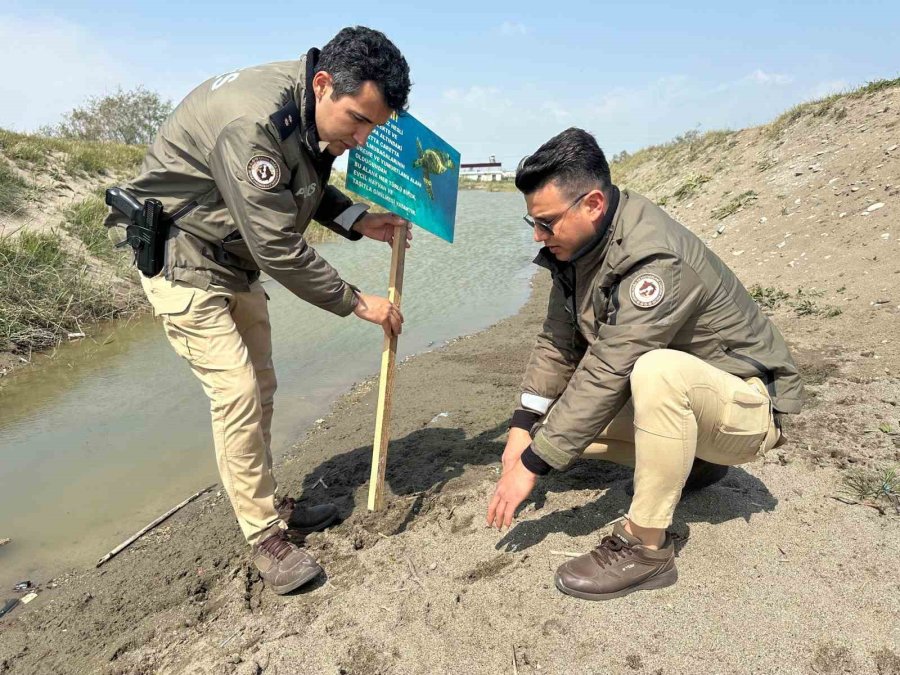 Mersin Polisi Caretta Carettaların Üreme Alanlarına Uyarı Levhaları Astı