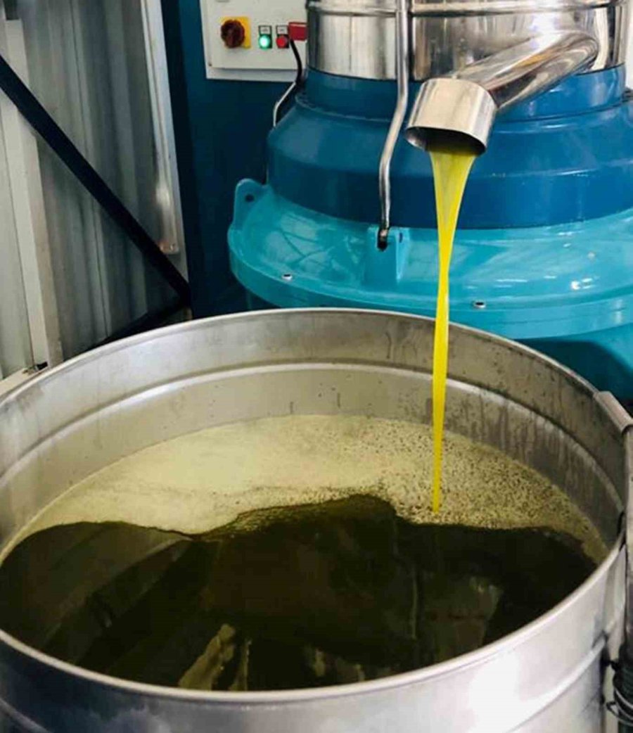 Ab Komisyonu Mut Zeytinyağını Kayıt Altına Aldı