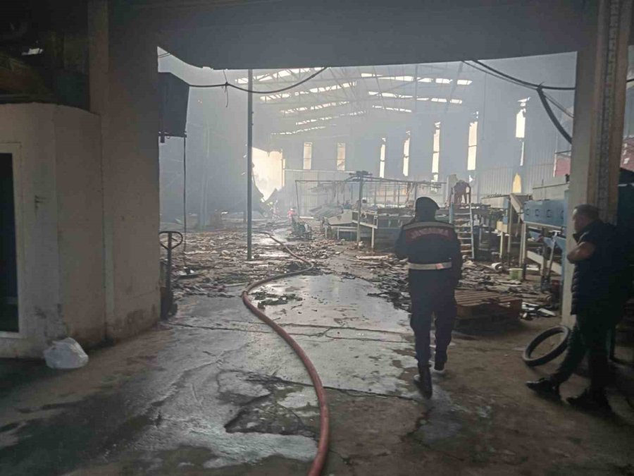 Mersin’de Narenciye Paketleme Tesisinde Yangın